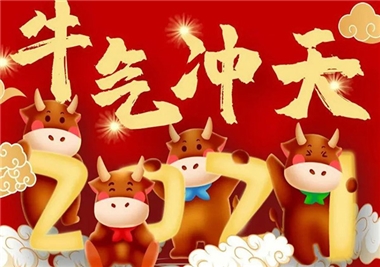 过程回首，suncitygroup太阳集团科技2021征程振兴，祝您牛年大吉，福气满满！