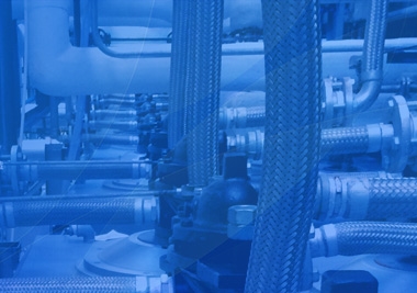 【展会预报】2022年suncitygroup太阳集团整年展会信息